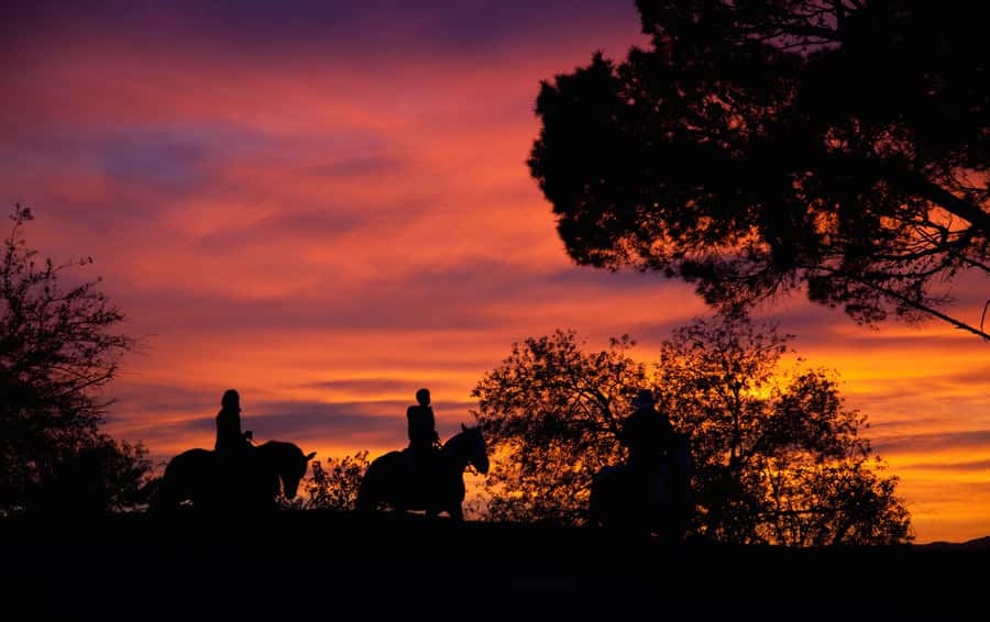 Los Angeles: Evening 2-Hour Hollywood Horseback Riding Tour - Why This Ride Feels Different From a Hollywood Sightseeing Tour