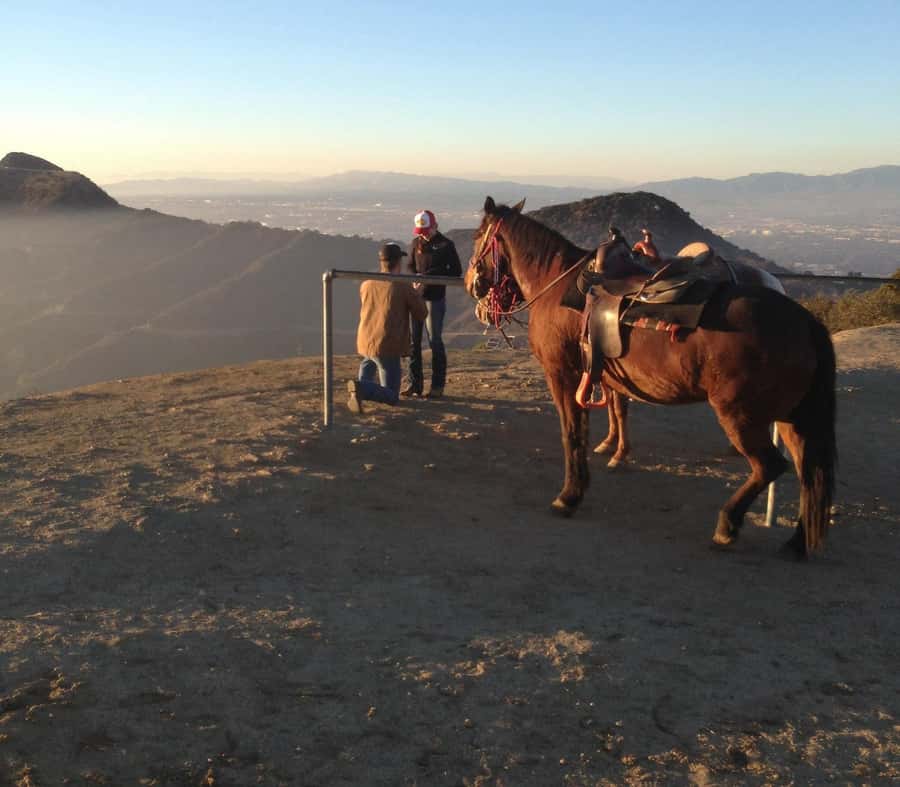 Los Angeles: Evening 2-Hour Hollywood Horseback Riding Tour - Meeting the Horses Before the Trail