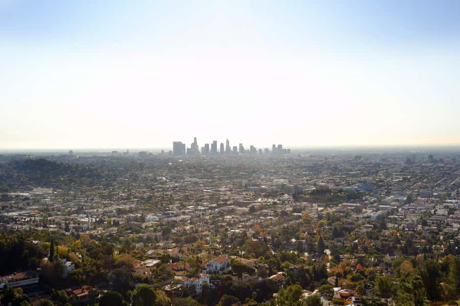 Los Angeles, Hollywood, & Beverly Hills Afternoon City Tour - Should you book it?