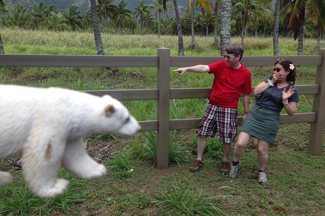 'Lost' and Movie Tour - Timing, comfort, and practical details