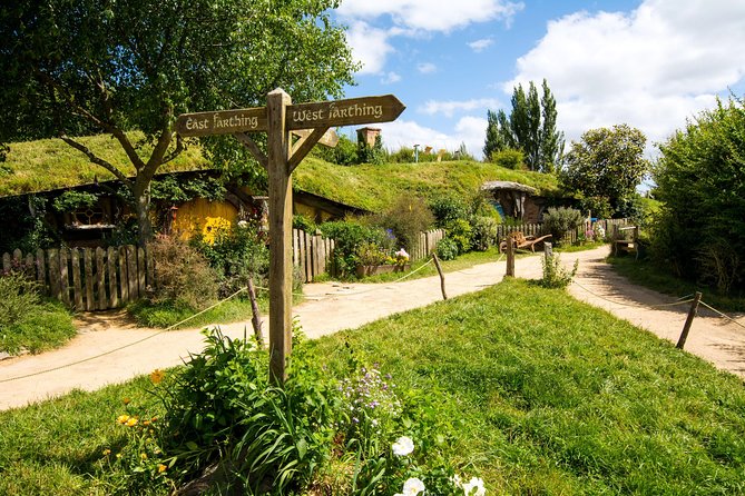 Luxury Small group tour from Auckland to Hobbiton Movie Set - Key points before you book