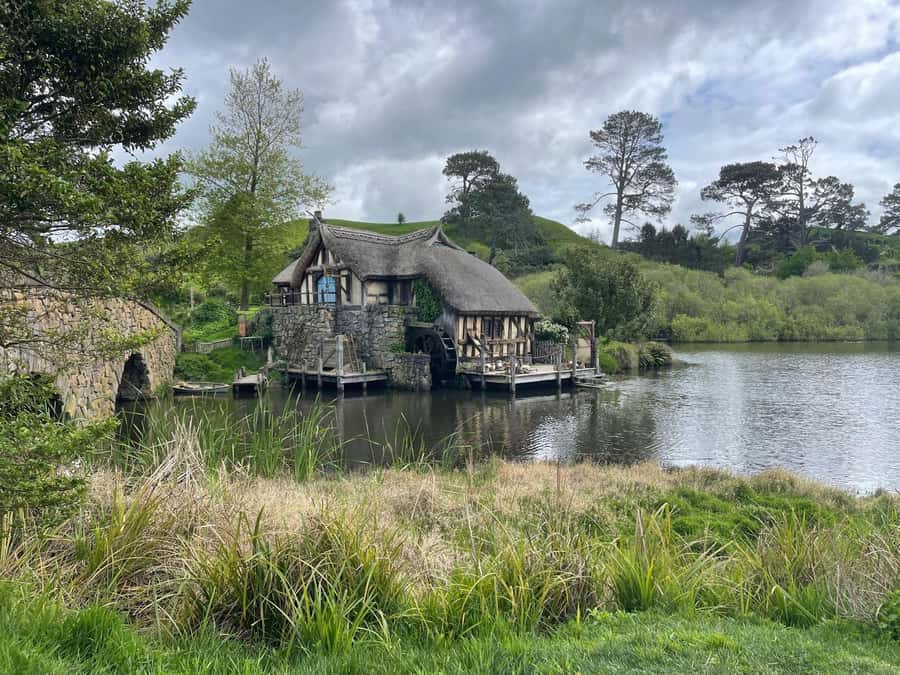 Magical Hobbiton & Waitomo Caves Small Group from Auckland - The return to Auckland