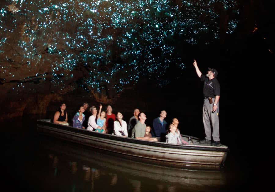 Magical Hobbiton & Waitomo Caves Small Group from Auckland - Is $248 good value?