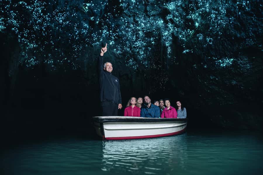 Magical Hobbiton & Waitomo Caves Small Group from Auckland - The drive through Waikato