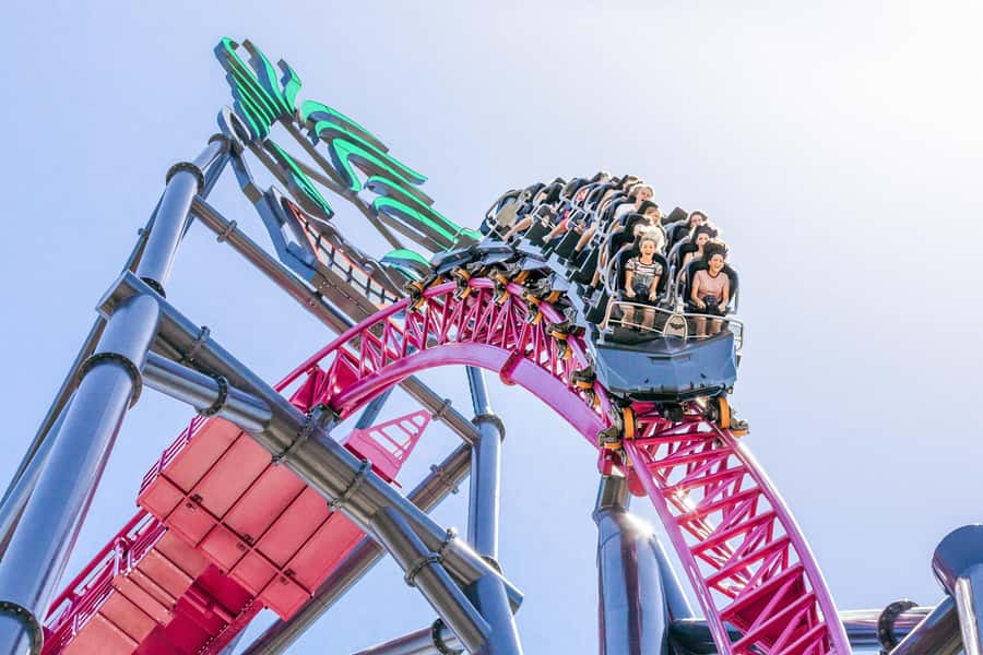 Movie World, Sea World, Wet’n’Wild & More - 5 Day Pass - Sea World: marine life and a gentler family pace