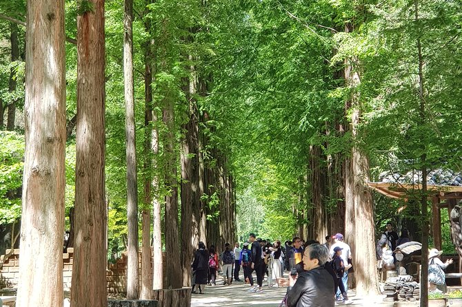 Nami Island and Petite France - Filming location - Key Points Before You Book