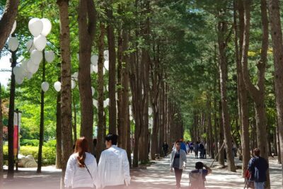 Nami Island and Petite France – Filming location