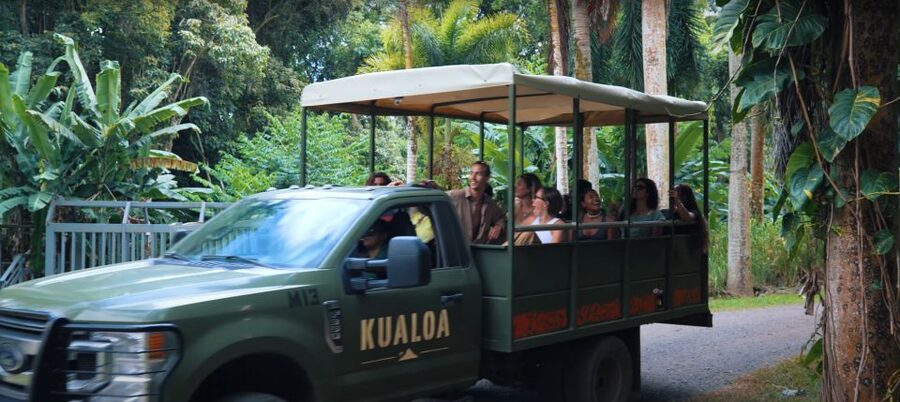 Oahu: Kualoa Jurassic Movie Set Adventure Tour - Check-in, timing, and what to bring