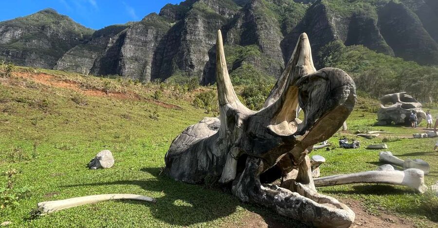 Oahu: Kualoa Movie Sites, Jungle, and Buffet Tour Package - Key details before you book