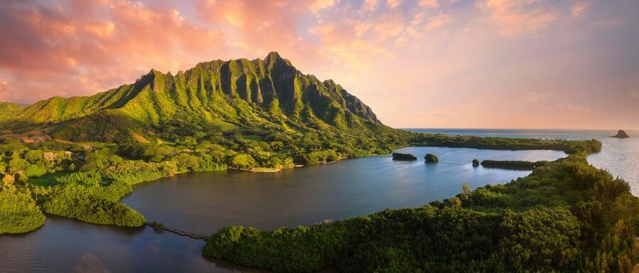 Oahu: Kualoa Movie Sites, Jungle, and Buffet Tour Package - The 90-minute Jungle Expedition through Hakipuʻu