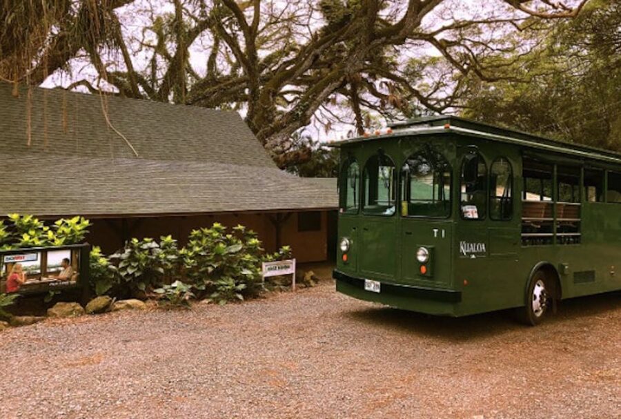 Oahu: Kualoa Movie Sites, Jungle, and Buffet Tour Package - Understanding the $173 price