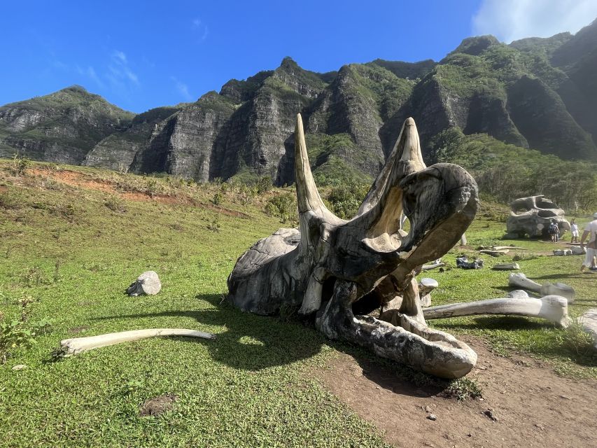 Oahu: Kualoa Movie Sites, Jungle, and Buffet Tour Package - Riding into Kaʻaʻawa Valley on the Movie Sites Tour
