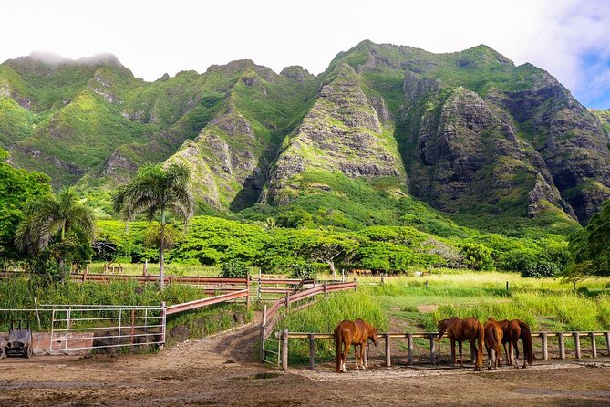 Oahu: Kualoa Ranch Movie Sites and Ranch Tour - Key points to know before you go