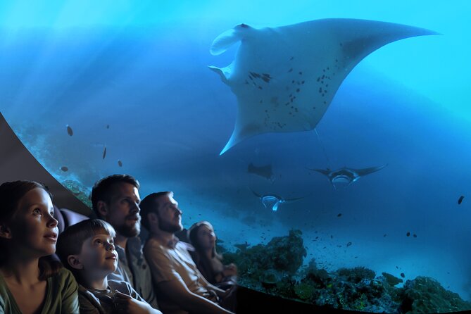 Ocean Wonders: An Immersive Ocean Movie Experience - Key Things to Know Before You Go