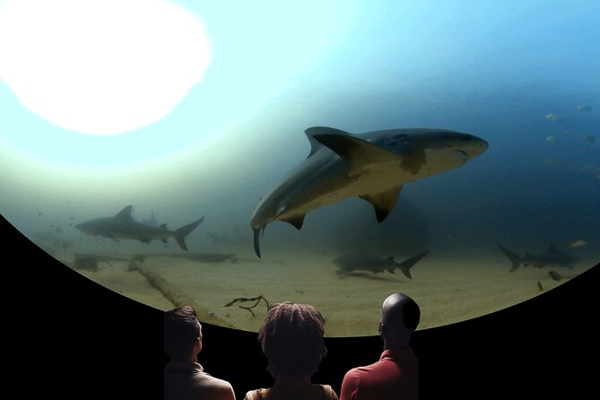 Ocean Wonders: An Immersive Ocean Movie Experience - What Ocean Wonders Actually Is