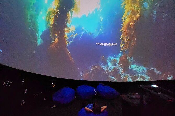 Ocean Wonders: An Immersive Ocean Movie Experience - Whale Sharks, Manta Rays, and Bait Balls