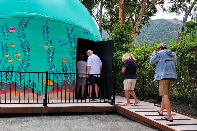 Ocean Wonders: An Immersive Ocean Movie Experience - A Movie, Not a Scuba Lesson