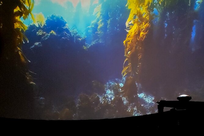 Ocean Wonders: An Immersive Ocean Movie Experience - Seating, Temperature, and the Dome Setup