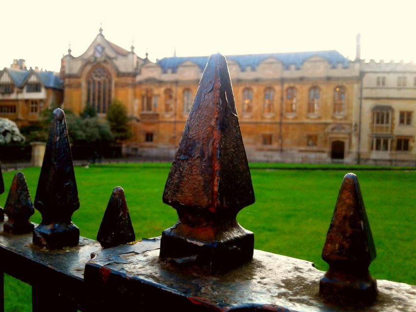 Oxford: Harry Potter Insights Divinity School Group Tour - What this Oxford Harry Potter tour really offers