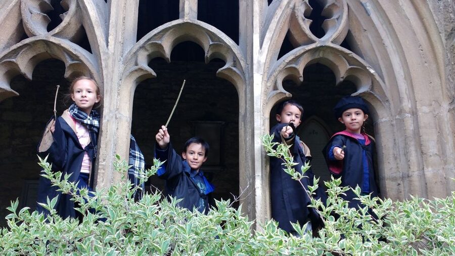 Oxford: Harry Potter Insights Divinity School Group Tour - Finding Rowling’s Oxford inspirations