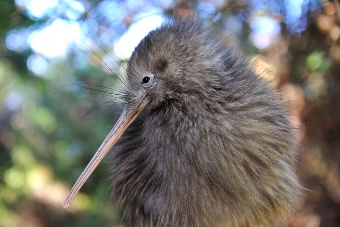Private 2 Day Tour: Hobbiton, Waitomo, Rotorua Geothermal & Hamilton Gardens - A quiet hour at Lake Rotorua