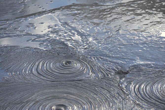 Private 2 Day Tour: Hobbiton, Waitomo, Rotorua Geothermal & Hamilton Gardens - What the private vehicle adds