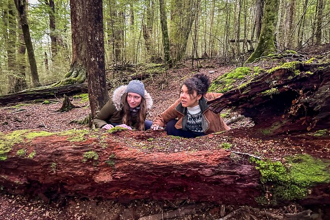 Private Full Day Lord of the Rings Mavora Lakes Adventure! - Manapouri and the production story