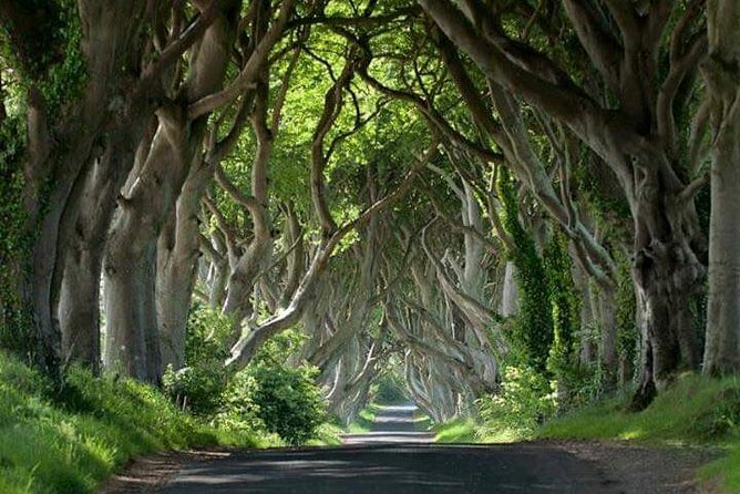 Private Game of Thrones including Giant's Causeway Causeway Coast Rope Bridge - Key points to know before booking