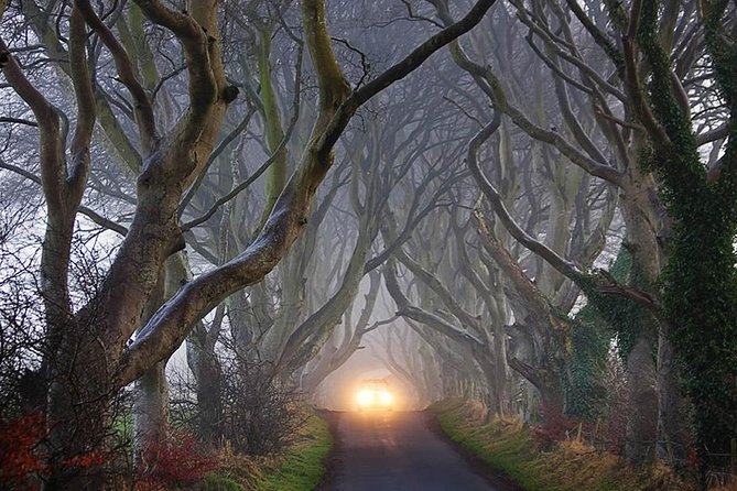 Private Game of Thrones including Giant's Causeway Causeway Coast Rope Bridge - Giant’s Causeway: the day’s main event