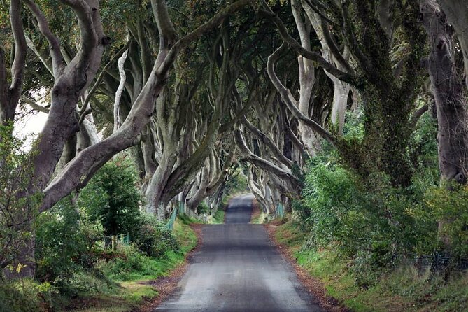 Private Giant's Causeway Tour including Game of Thrones Sites - Ballintoy Harbour in 30 minutes