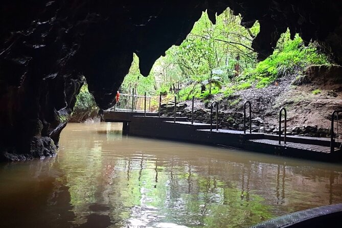 Private Hobbiton & Blue Springs Day Trip from Auckland - The return through Waikato to Auckland