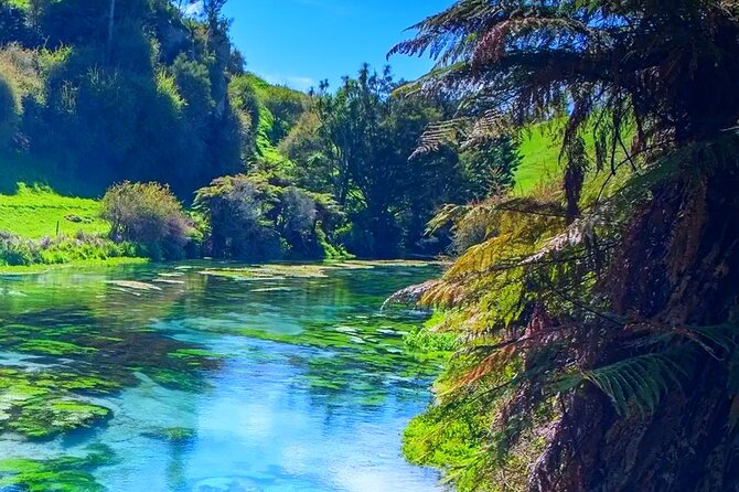 Private Hobbiton, Waitomo Caves, Blue Spring & Hamilton Transfer - Who should book this experience?