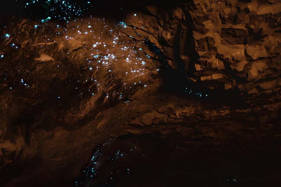 Private Hobbiton & Waitomo glowworm cave Day Trip - From Matamata to the glowworm caves