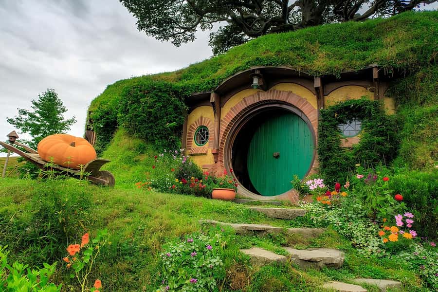 Private Hobbiton & Waitomo glowworm cave Day Trip - The early drive to Matamata