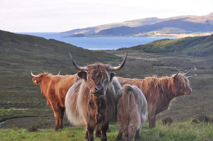 Private Outlander Tour for Small Groups - Why this makes a good Edinburgh day trip