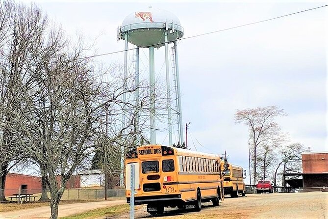 Private Stranger Things "The Upside Down" Film Locations Tour in Atlanta - Key reasons to consider this Hawkins road trip