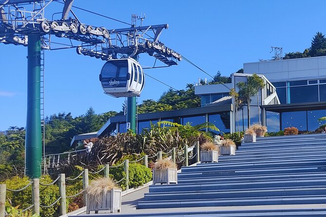Private Tour: Hobbiton Movie Set, Rotorua Mud Pool & Treewalk - Why a Private Vehicle Changes the Day