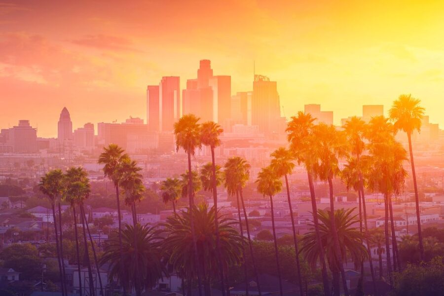 Private Tour Hollywood Beverly Hills Santa Monica Venice - Who Should Book This Five-Hour Tour?