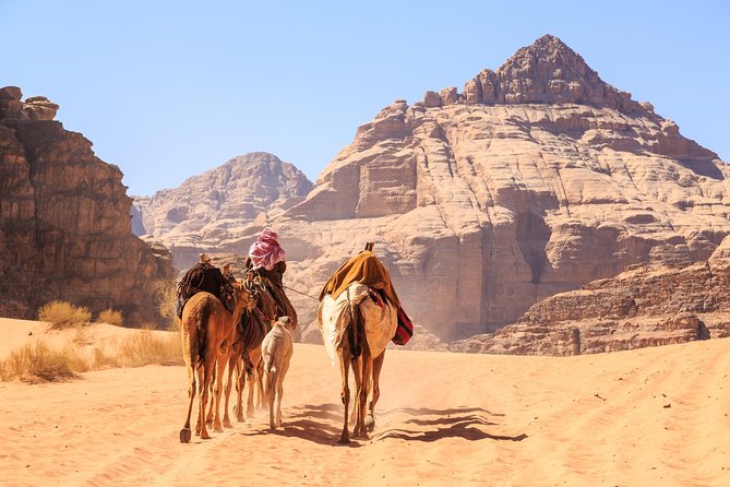 Private Tour of Wadi Rum Star Wars from Aqaba - Who will enjoy this tour most?