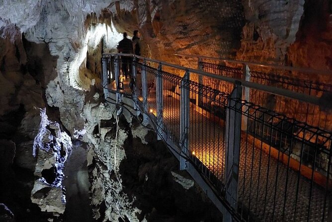 Private Tour: Ruakuri Cave, Waitomo Glowworm & Hobbiton Movie Set - Why Hobbiton makes a strong first stop