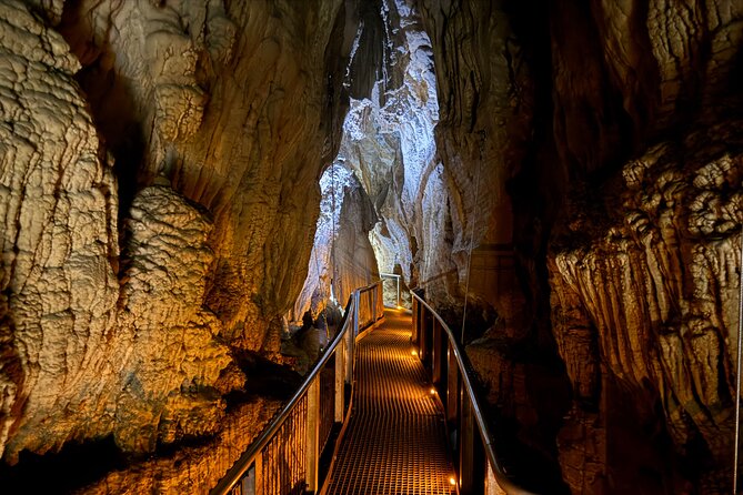 Private Tour: Ruakuri Cave, Waitomo Glowworm & Hobbiton Movie Set - What private touring changes