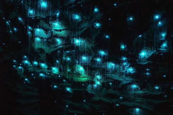 Private Tour: Ruakuri Cave, Waitomo Glowworm & Hobbiton Movie Set - Ruakuri Cave offers a different underground view