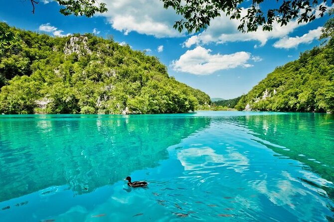 Private Transfers to Krka Waterfalls & Game of Thrones Castle - Krka’s boardwalks and waterfalls