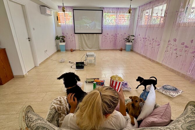 Puppies and Movies: A Feel-Good Film Night with Rescue Pups - Arriving at the Peyia Villa at 7:00 pm