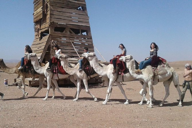 Ride the cast of famous Hollywood movies on set in their natural environment! - What the 90-minute duration means