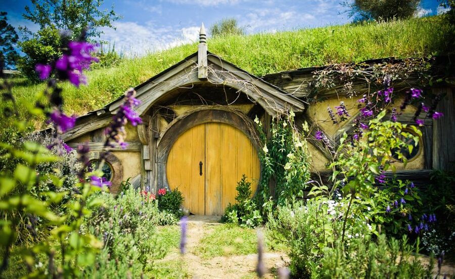 Rotorua: One-Way Trip to Auckland via Hobbiton & Waitomo - The guides: the human side of the trip