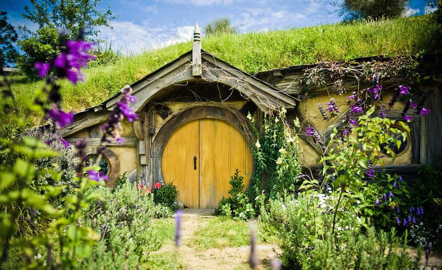 Rotorua: One-Way Trip to Auckland via Hobbiton & Waitomo - The morning pickup and the road north