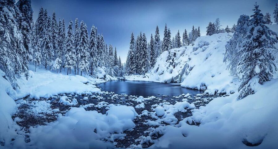 Rovaniemi: Snowy Forest Like in the Movies 3 Hour Tour - Three Hours With Time to Stop
