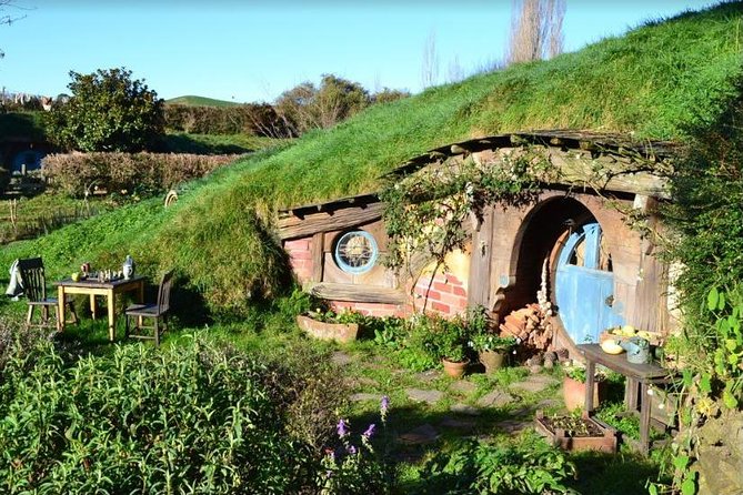 Small-Group Hobbiton and Waitomo Day Tour with Lunch from Auckland - Waitomo and the glowworm grotto