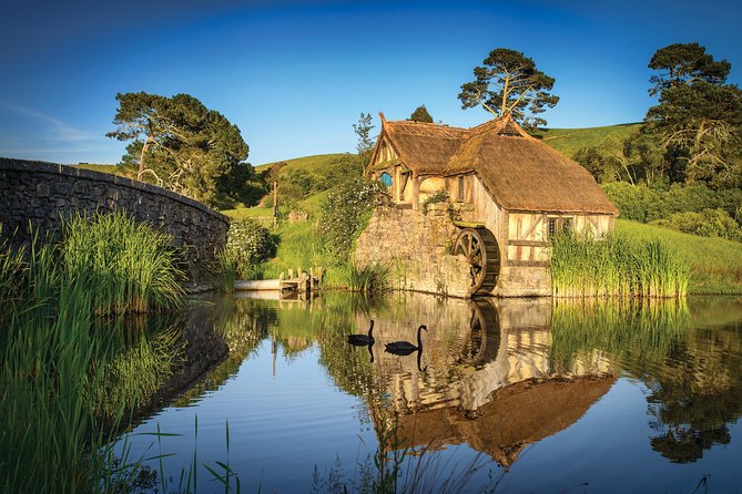 Small-Group Hobbiton Tour from Auckland with Party Marquee Lunch - Should you book the $254.44 experience?